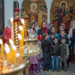Украинские каратели обстреляли Александро-Невский собор в Славянске