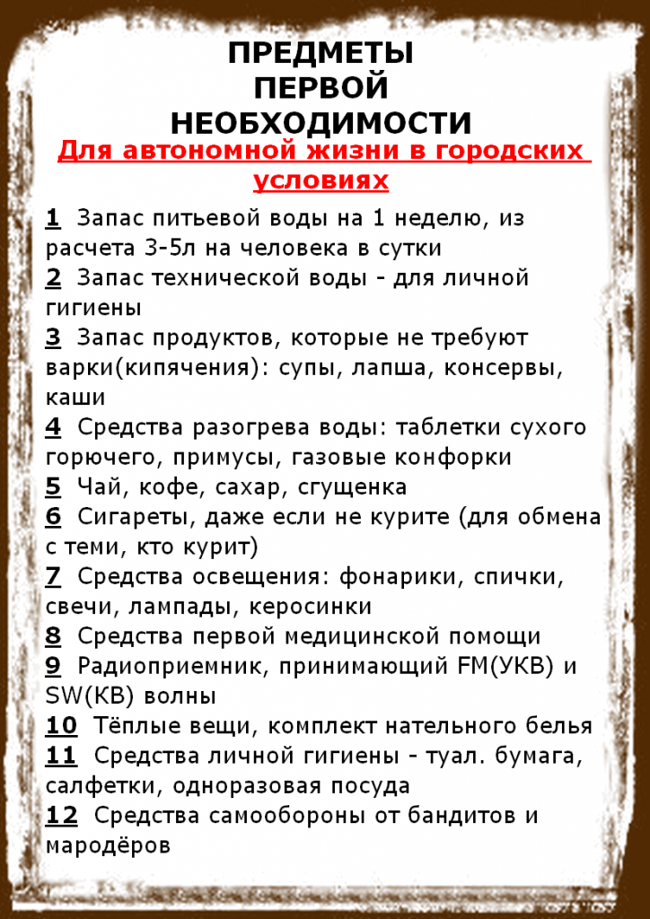 Перечень первой необходимости. Предметы первой необходимости список. Список вещей первой необходимости. Предметы первой необходимости для человека. Список вещей для мобилизации.